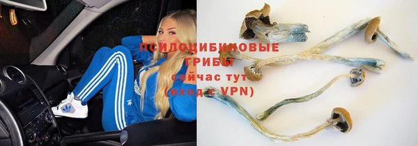 MDMA Premium VHQ Вязьма