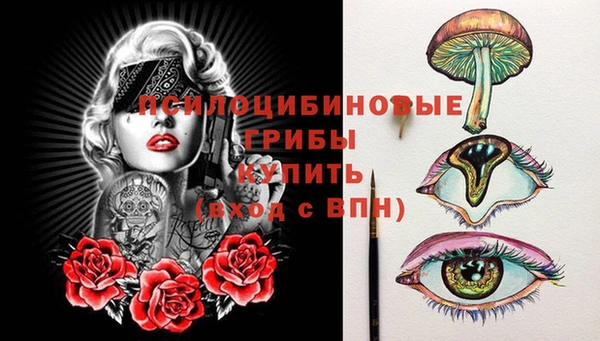 мдма Ладушкин