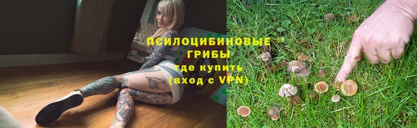 спайс Вяземский