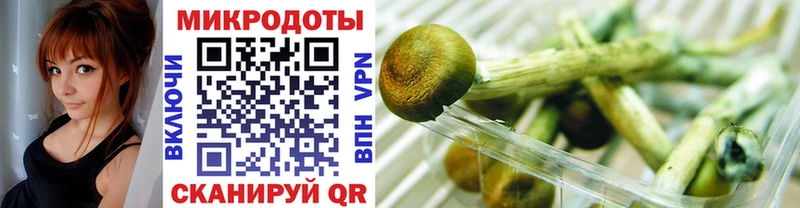 Галлюциногенные грибы MAGIC MUSHROOMS блэк спрут Обоянь закладка
