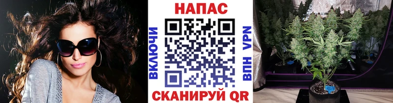 купить наркотики сайты  Обоянь  Шишки марихуана марихуана 
